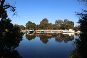 2025-06-21 Bartons Park - IMG_2459_compressed_q50.webp